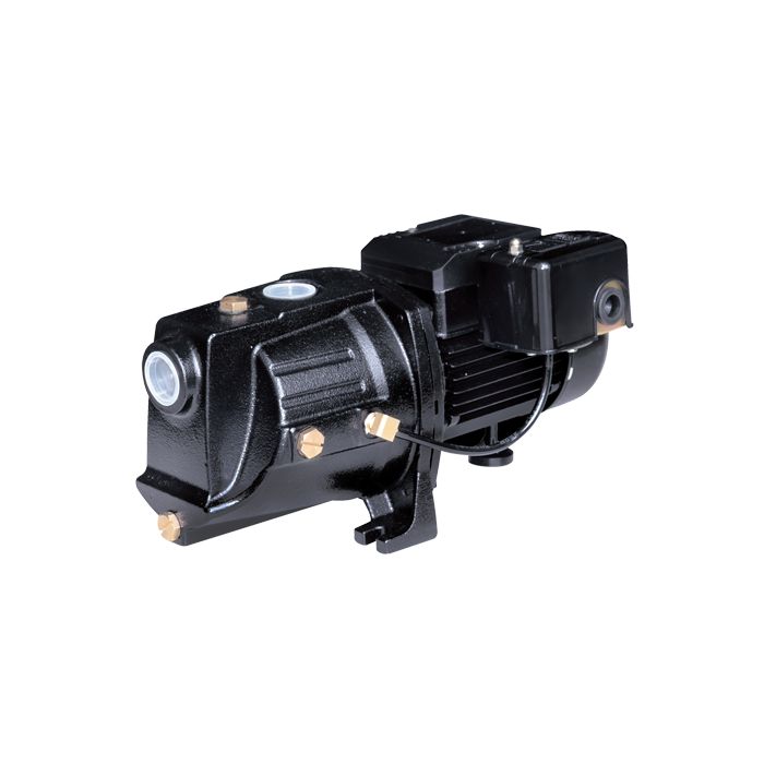 Dual Voltage Cast Iron Shallow Well Jet Pump