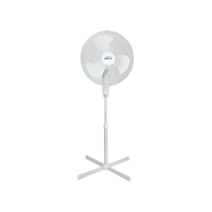 Oscillating Pedestal Fan