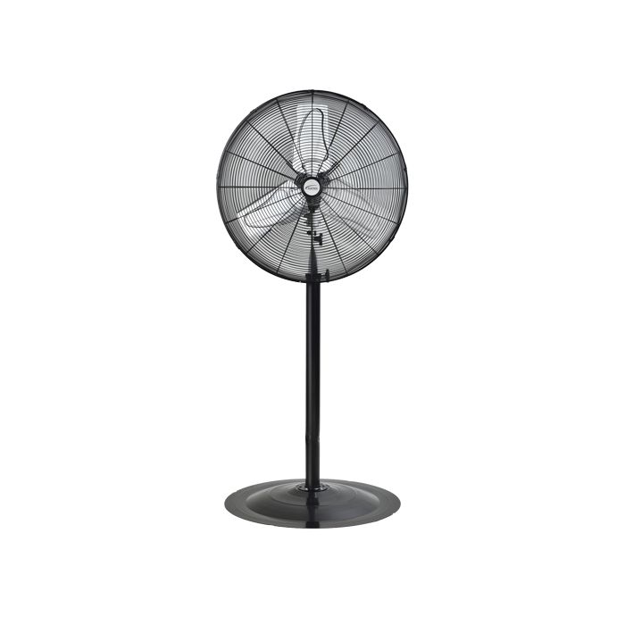 Oscillating Pedestal Fan