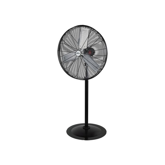 Oscillating Pedestal Fan