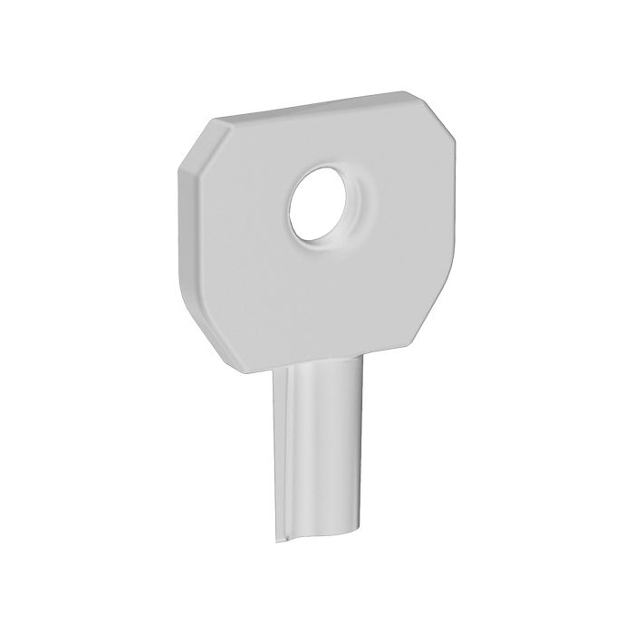 Lock or Not™ Dispenser Key