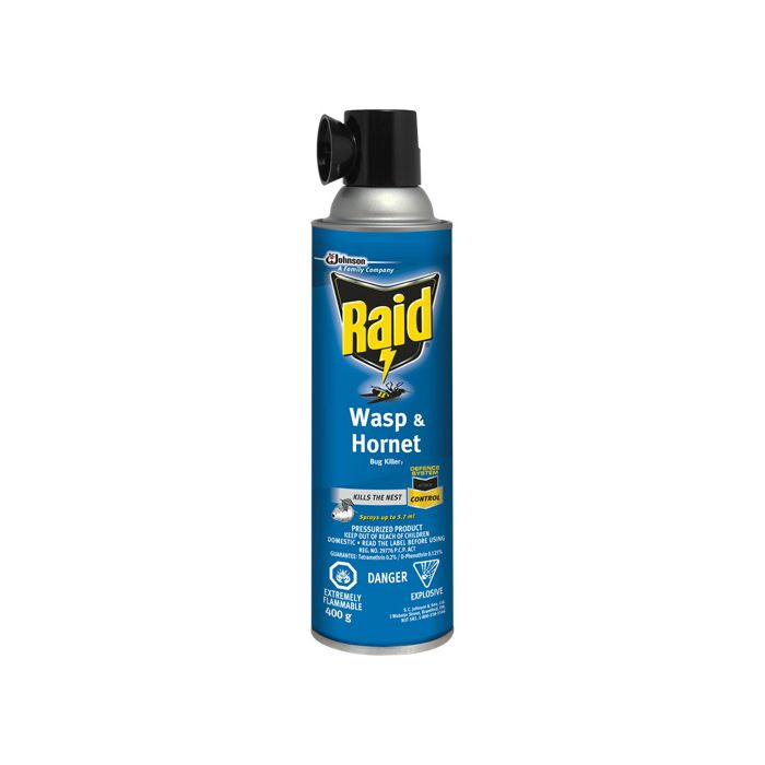 Raid® Wasp & Hornet Bug Killer