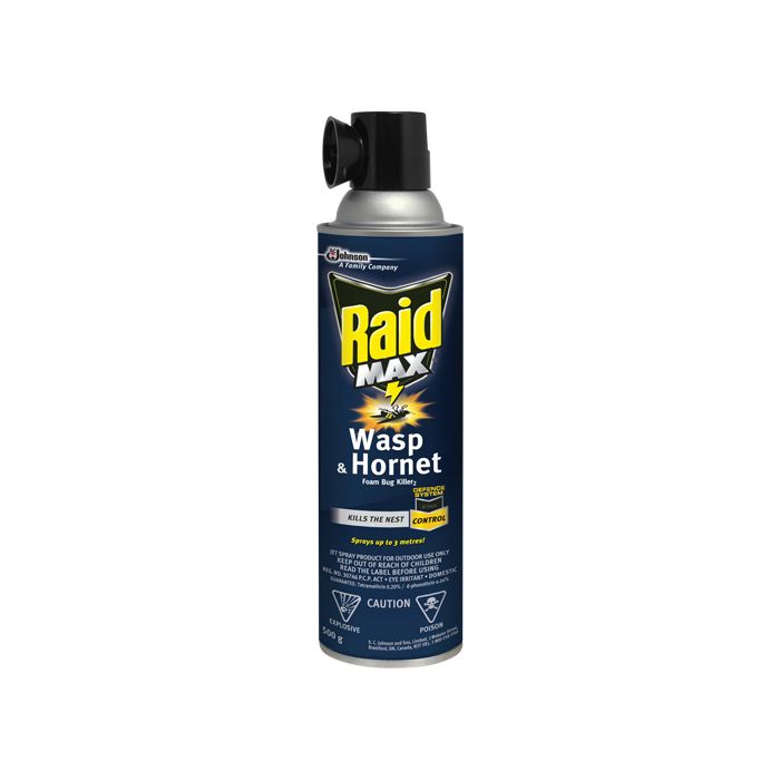 Raid® Max® Wasp & Hornet Foam Bug Killer