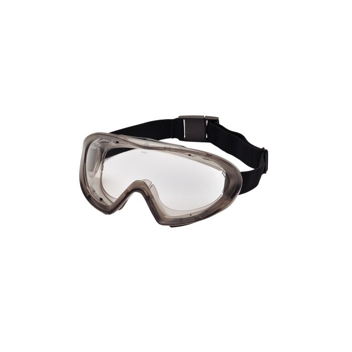 Capstone 500 Series Safety Goggles