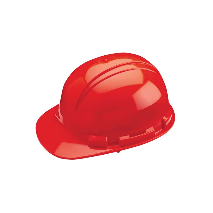 Dynamic Whistler Hard Hat