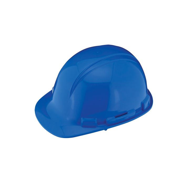 Dynamic Whistler Hard Hat