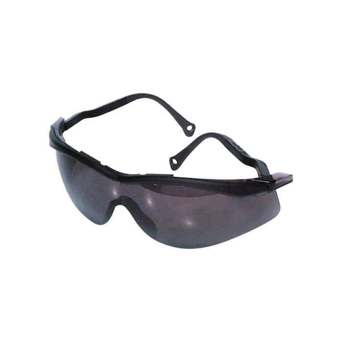 North® The Edge™ Safety Glasses