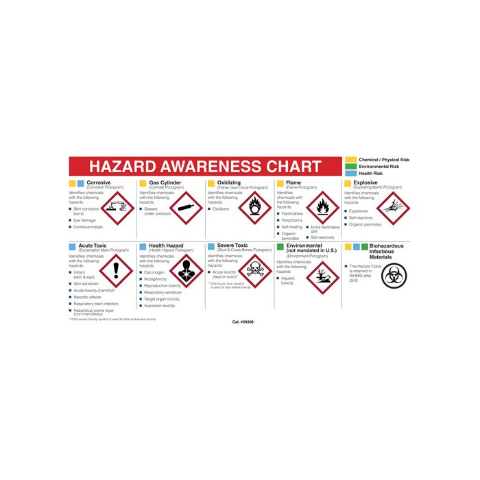 Mini MSDS Chart- English