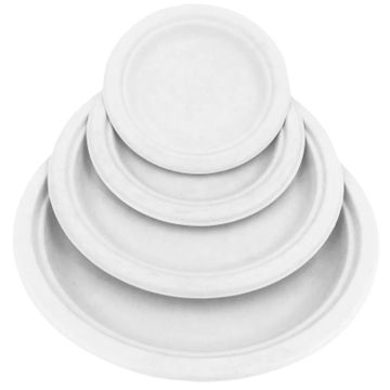 Compostable Plates, Bagasse, White