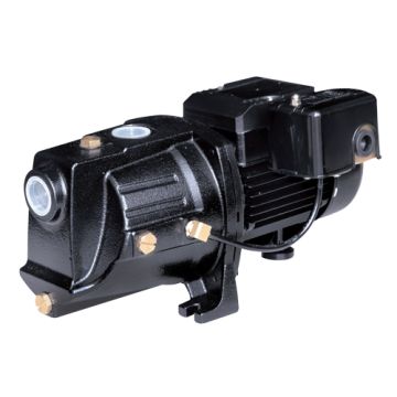 Dual Voltage Cast Iron Shallow Well Jet Pump