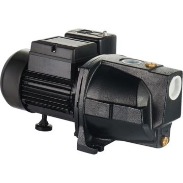 Dual Voltage Cast Iron Shallow Well Jet Pump