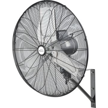 Oscillating Wall Fan