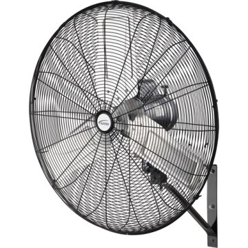 Oscillating Wall Fan