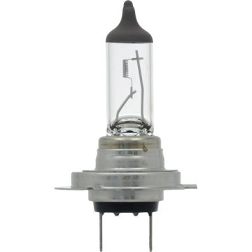 H7 Long Life Headlight Bulb