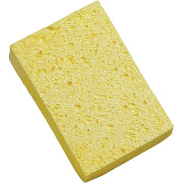 Sponge