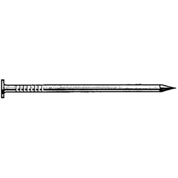 Common Hot Dip Galvanized Nails