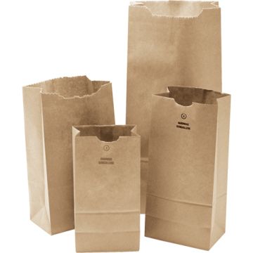 #16 Kraft Bag