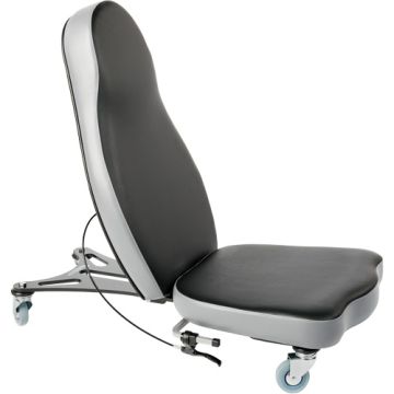 Flex 2™ Ergonomic Chair