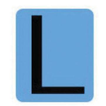 Condensed Quick-Align®Individual Gothic Number and Letter Labels