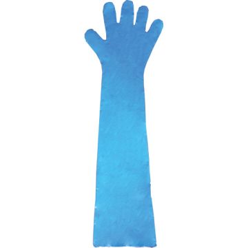 Disposable Gloves