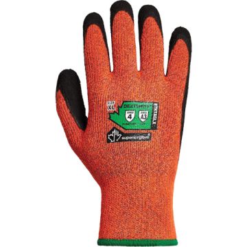 Dexterity® TKTAGLX Cold-Rated Cut-Resistant Gloves