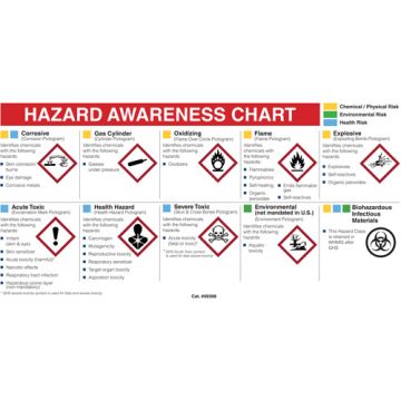 Mini MSDS Chart- English