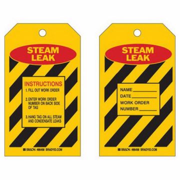 "Steam Leak" Inspection Tags