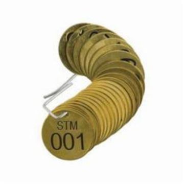 Brass Numbered "STM" Valve Tags