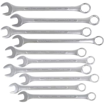 10-Piece Combination Wrench Set