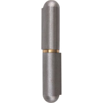 Weld-On Hinge