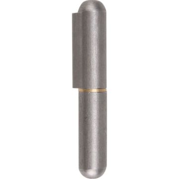 Weld-On Hinge