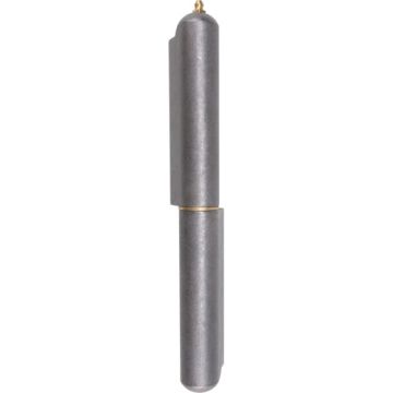 Weld-On Hinge