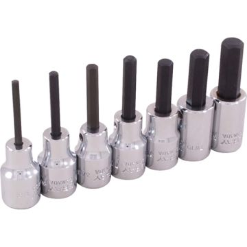 Hex Head Socket Set