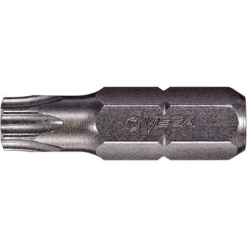 Bull Nose Insert Bit