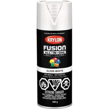 Fusion All-In-One™ Paint