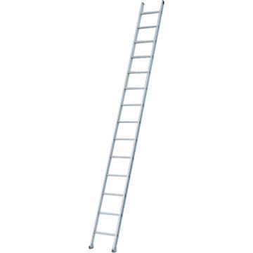 Industrial Heavy-Duty Extension/Straight Ladders