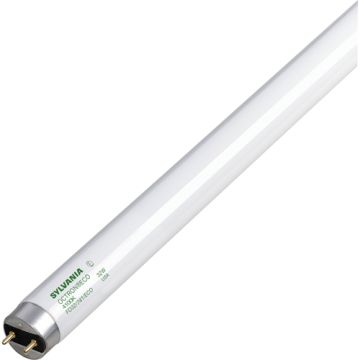 Fluorescent Lamps