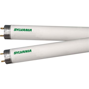 Fluorescent Lamps