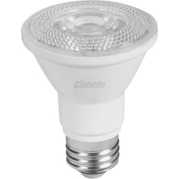 Dimmable LED Bulb